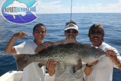 Gag-Grouper
