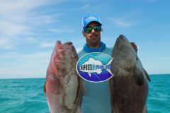 Groupers