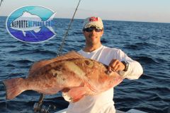 Red-Grouper-3