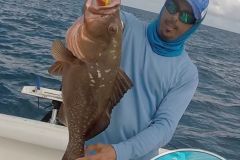 Red-Grouper
