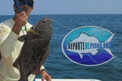 Yellowedge-Grouper