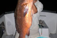 Cubera-13