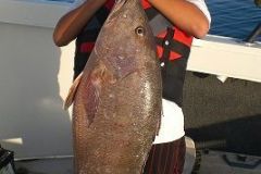 Cubera-9