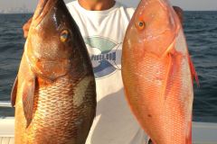 Cubera-Snapper-1