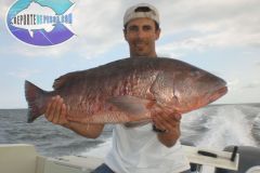 Cubera-Snapper-2