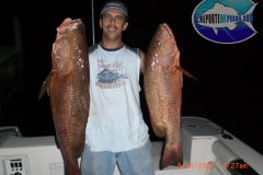 Cubera-Snapper