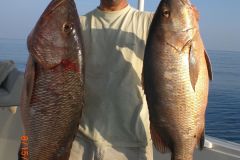 Cubera-Snappers-1