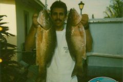 Mangrove-Snappers-1