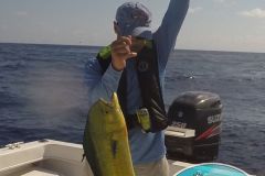Dorado-1