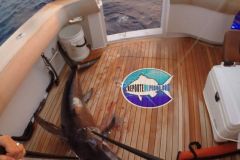 Swordfish-1