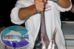 Swordfish-11