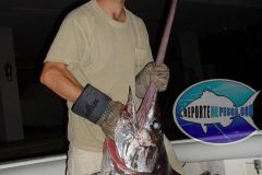 Swordfish-13