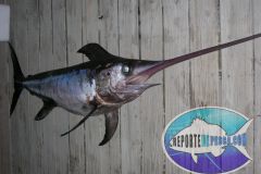 Swordfish-15
