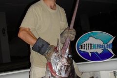 Swordfish-3