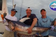 Swordfish