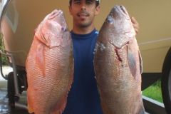 Pargo-Jocu
