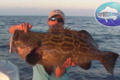 Big-Black-Grouper
