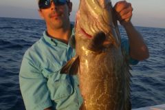 Black-Grouper-12