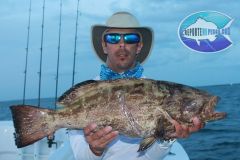 Black-Grouper-4