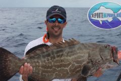 Black-Grouper-8