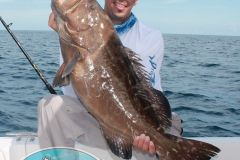 Black-Grouper-9