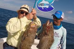 Black-Groupers