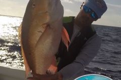 Big-Mutton-Snapper-1