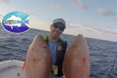Big-Mutton-Snappers
