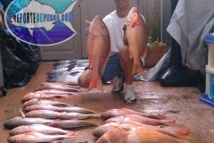Bottom-Fishing-scaled