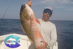 Mutton-Snapper-1