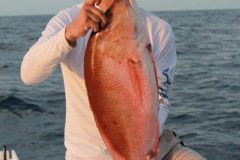 Mutton-Snapper-10-scaled