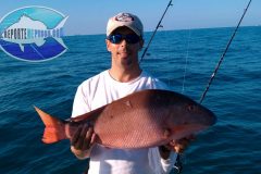 Mutton-Snapper-16-scaled