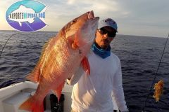 Mutton-Snapper-3