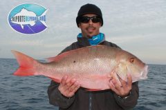 Mutton-Snapper-8-scaled