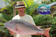 Mutton-Snapper-9-scaled
