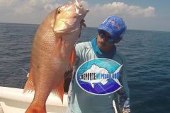 Mutton-Snapper