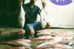 Mutton-Snappers-27-scaled