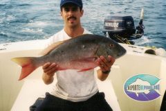 Mutton-Snappers-29-scaled