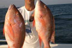 Mutton-Snappers-32-scaled