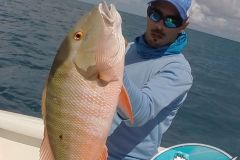 Pargo-1