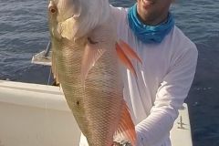 Pargo-Criollo-1
