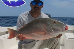 Pargo-Criollo-10