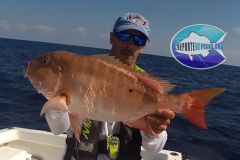 Pargo-Criollo-14