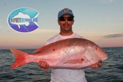 Pargo-Criollo-16-scaled