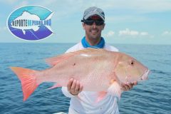 Pargo-Criollo-18-scaled