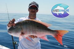 Pargo-Criollo-19-scaled