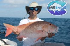 Pargo-Criollo-21
