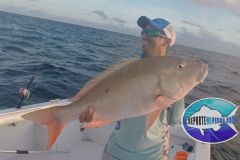 Pargo-Criollo-3