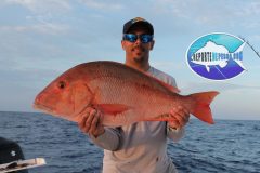 Pargo-Criollo-5-scaled