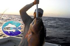 Pargo-Criollo-6